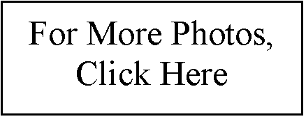 Photos=